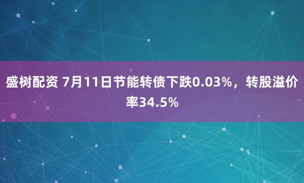 盛树配资 7月11日节能转债下跌0.03%，转股溢价率34.5%